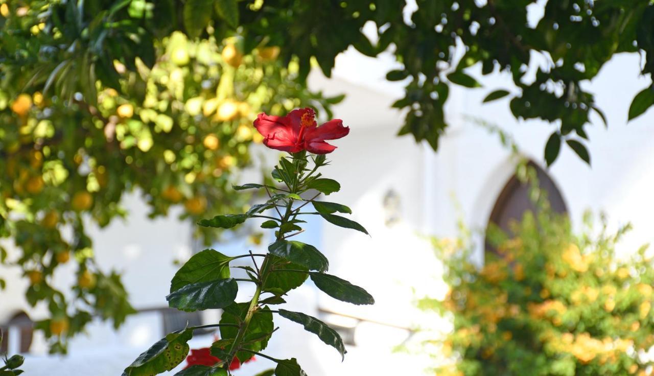 Yellow Jasper - Gemstone Getaway Marbella Exterior foto